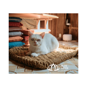 COIR MAT de alta calidad para PET 100% fibra de coco de Vietnam-Cómodo, duradero y rentable Personalizar Sky Pham - Product Image 1