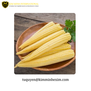 Maíz bebé congelado IQF vietnamita de alta calidad para exportación - Product Image 5
