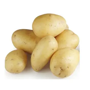 감자 신선한 고구마 도매 고품질 저가 공급자 신선한 유기 감자 고품질 싼 가격