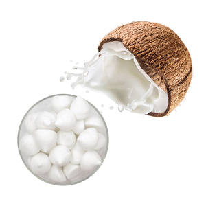 LECHE DE COCO CONGELADA NATURAL/EXTRACTO DE COCO PURO/EXPORTACIÓN OEM A GRANEL PARA EL MERCADO ALIMENTARIO GLOBAL - Product Image 1