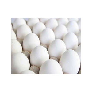 Huevos frescos de gallina con cáscara limpia, pedido al por mayor, precio de fábrica, suministro. - Product Image 3
