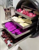 Lyophilisateur à air froid pour fruits et légumes à petite échelle pour aliments et légumes Déshydrateur pour déshydratation