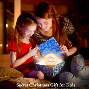 Lámparas de sal del Himalaya de fabricación profesional Lámparas de luna de forma natural de buena calidad más vendidas en estilo Feng Shui de Pakistán - Product Image 6