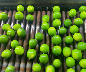 Siguiente nivel Frescura Vietnam Limones sin semillas Ahora envío a los Emiratos Árabes Unidos Cítricos frescos - Product Image 1