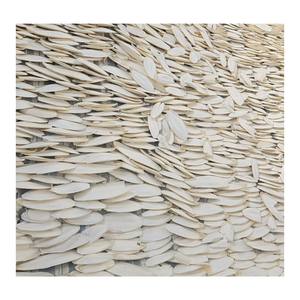 Os de seiche séché naturel pour oiseaux de compagnie-Os de seiche lavé séché de haute qualité - Product Image 1