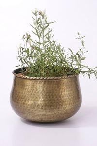 Established Quality Tinplate Flower Bucket Round Steel Planter <b>Pot</b> with Hanging Design for Home Nursery - Product Image 2