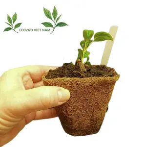 Lieferant Bio Kokos faser Pflanzen Töpfe mit Bulk/Kokos faser Topf dekorativ für Garten/Kokos faser Topf wachsen Pflanzen