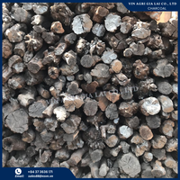 Vente en gros de charbon de bois bitumineux sans fumée de haute qualité Matière première Bois dur Charbon de café Siamea MS Kate (+ 84)905831336