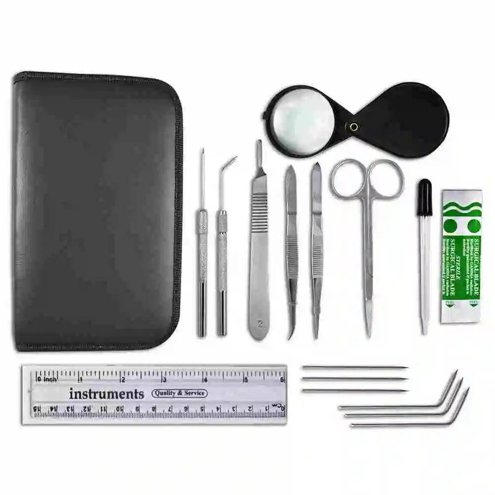 DR Instruments Plant Study & Plant Research Kit OEM design in factory prices with your custom logo