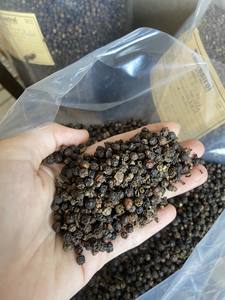 Pimienta negra entera AD seco FAQ 500 550 Hierba Especias en polvo Raw Premium Quality Mr Thomas Nguyen WS 84 789896886 - Product Image 5