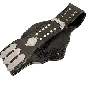 เข็มขัดแชมป์มวยปล้ำรุ่นเวิลด์แท็กแบบออกแบบได้ตามที่ต้องการเข็มขัดแชมป์คุณภาพสูงพร้อม OEM - Product Image 2