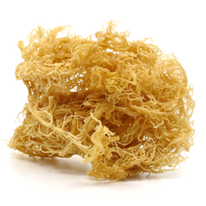 Musgo de mar seco orgánico: Mejora tu bienestar naturalmente/de Vietnam - Product Image 1