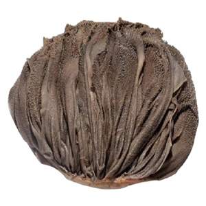 Omaso de Res Salado Congelado, Cola Seca a Granel - Product Image 1