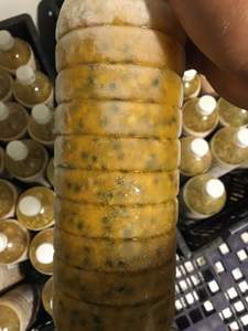 Puré de Maracuyá Natural Congelado IQF al por Mayor, con o sin Semillas, de Vietnam, a la Venta a Precio Económico - Product Image 4