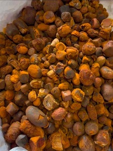 Cochonnes de bœuf naturelles de haute pureté, qualité export premium, sous vide, anti-humidité, durée de conservation de 2 ans, emballage personnalisé, approvisionnement - Product Image 5