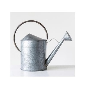 Regadera elegante con acabado vintage hecha de metal fuerte para uso en espacios interiores de jardín y rincones para el cuidado de plantas - Product Image 1