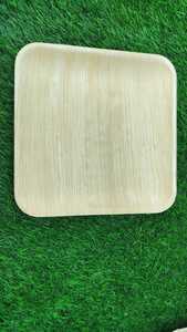 Plato cuadrado plano sostenible y ecológico de hoja de palma de areca biodegradable desechable de 10 pulgadas vajilla sin químicos - Product Image 5