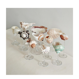 Verres à coquillages fabriqués à partir de coquillages naturels pour la présentation de boissons de restaurant tropical rustique Vietnam - Product Image 2