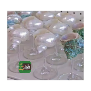 VIDRIO MARTINI DE CONCHA NATURAL SOSTENIBLE PARA DECORACIÓN FIESTA/BODA/RESTAURANTES ORIGEN DE VIETNAM - Product Image 4