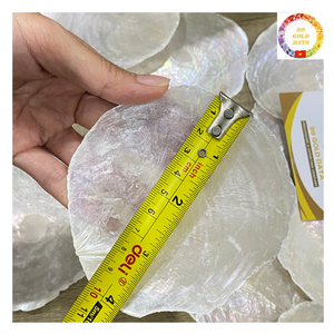 Discos blancos redondos naturales de concha Capiz con agujeros a granel al por mayor para carillones de viento hechos a mano decoración de cortinas y joyería DIY - Product Image 1