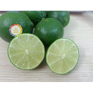 EXPORTATION EN VRAC CITRONS FRAIS VIETNAMIENS AGRUMES NATURELS QUALITÉ SUPÉRIEURE PRIX D'USINE Offre Spéciale PRODUIT - Product Image 5