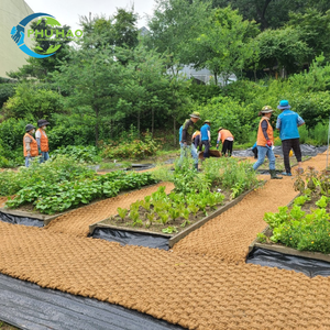 PALM MAT / KOKOA MAT 1m x 10m x 35mm Solution durable du Vietnam: produits à base de noix de coco pour la protection des sols et la nutrition des plantes - Product Image 6