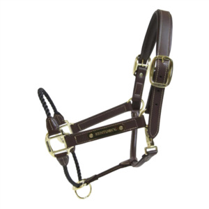 Licol de cheval en cuir de couleur or avec plaque de gravure à ajustement réglable en corde épaisse - Product Image 1