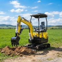 Mini-excavatrice sur chenilles compacte de 2 tonnes pour la démolition et l'entretien des terrains de golf - Fabricant d'excavatrices hydrauliques miniatures