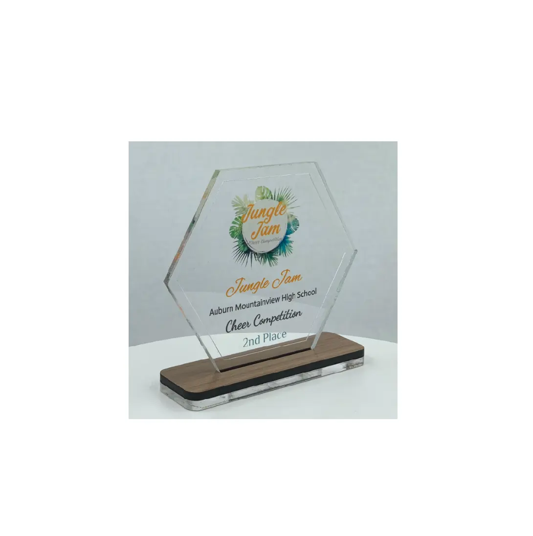 Trofeo acrilico esagonale con Base in legno/premio scientifico/STEM Award Tech Gift acrilico con stampe a colori personalizzazione gratuita