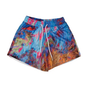 2025 Shorts décontractés de qualité supérieure pour hommes 100% coton motif solide mi-taille coupe Die cravate conception matériau léger - Product Image 5