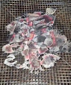 Chất lượng cao vỏ dừa than đen độ ẩm <15% tro thấp dễ bay hơi-Fob Indonesia xuất khẩu - Product Image 5