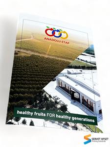 Service d'impression offset personnalisé en gros pour brochures/dossiers/magazines/catalogues/brochures en carton kraft - Product Image 4