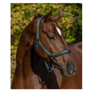 เชือกแขวนคอ PP สำหรับขี่ม้าสินค้าพรีเมี่ยม RE-PPH-161 - Product Image 2