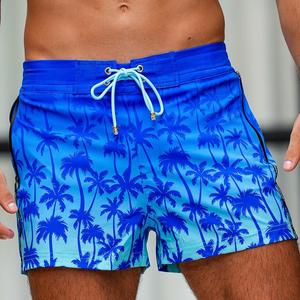 Nuevos Shorts de Playa Personalizados para Hombre, Talla Grande, 100% Poliéster, Traje de Baño de Lona, Pantalones de Playa para Niños, Diseño de Shorts con Estampado Floral - Product Image 2