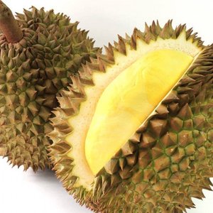 Durian frais de qualité supérieure à prix compétitif/Durian congelé - Product Image 3
