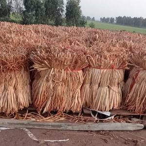 ลูกดอกผักตบชวาแห้งจากธรรมชาติ,วัตถุดิบสำหรับการทอตะกร้าทำจากวัตถุดิบ - Product Image 4