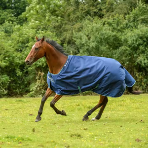 Tapis d'équitation professionnels personnalisés pour l'été et l'hiver avec tissu en nylon et remplissage en coton direct par le grossiste - Product Image 2