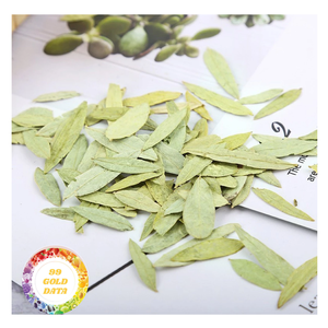 Vietnam Raw Senna Leaves Dry Material for Factory Production <b>Craft</b> Industry and Export <b>Supply</b> - Product Image 5