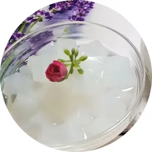 Nata de Coco manis terbuat dari kelapa alami jeli kelapa kualitas tinggi terlaris dari Vietnam/Ms.Thi (+ 84) 988 872 713