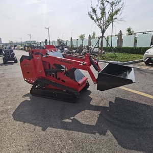 DPS-T750 Mini-Kompakt lader Diesel CE EURO 5 EPA Mini-Kompakt lader mit Aufsatz kriecher mit Rasenmäher - Product Image 2