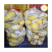 Verse Mango Vietnam Geteeld Rijp Mango Fruit, Perfect Voor Het Snijden Van Sap En Het Toevoegen Aan Een Verscheidenheid Aan Voedselproductie
