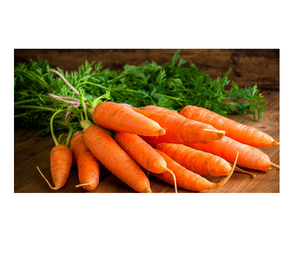 High Quality Fresh Carrot for Wholesale Bulk Supply at Competitive Prices <b>Harvested</b> and Ready to Ship - Product Image 1