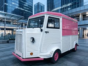 Remorque alimentaire mobile ADA accessible avec rampe pour fauteuil <span class=keywords><strong>roulant</strong></span> et comptoir de service, en fibre de verre, pour concession de parcs du gouvernement américain, spécial confiseries - Product Image 6