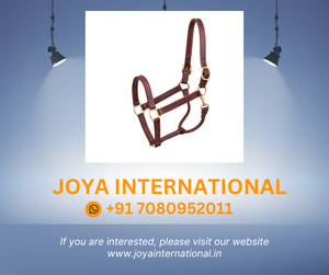 Professional Folded Leather Show <b>Halter</b> - Product Image 2