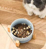 Bols en céramique pour animaux de compagnie Support en céramique surélevé Mangeoires en bois pour animaux de compagnie