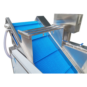 Nettoyeur de fruits professionnel avec certificat CE - Product Image 4