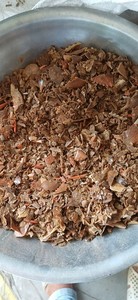 Le meilleur choix de prix coquille de crabe de haute qualité du Vietnam - Product Image 3