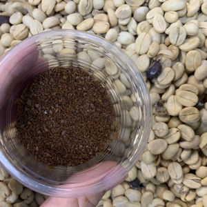 Dalat ORIGIN กาแฟอาราบิก้าสีเขียวเกรดพิเศษออร์แกนิกสูง1500ม. - Product Image 2