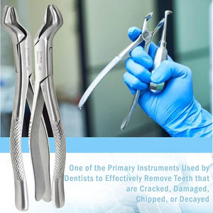 Fórceps de Extracción Dental MEDIVA ESSENCE OEM de Alta Calidad, Fabricados en Acero de Clase I con Certificación CE, Agarre Ergonómico, Logotipo Personalizado de Fábrica - Product Image 3