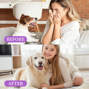 Spray <span class=keywords><strong>Bucal</strong></span> para Mascotas, <span class=keywords><strong>Precio</strong></span> de Fábrica, Spray Dental para <span class=keywords><strong>Perros</strong></span>, Elimina el Sarro y la Placa, Refresca el Aliento, Cuidado <span class=keywords><strong>Bucal</strong></span> Avanzado para <span class=keywords><strong>Perros</strong></span> - Product Image 4